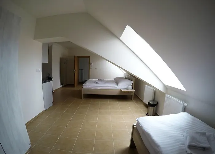 Pensjonat U Tri Statkaru Dobris